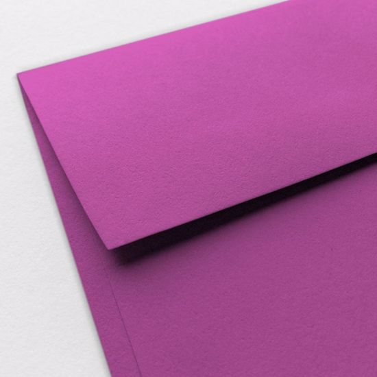 Plum Purple